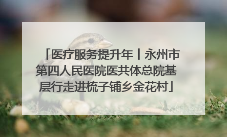 医疗服务提升年丨永州市第四人民医院医共体总院基层行走进梳子铺乡金花村