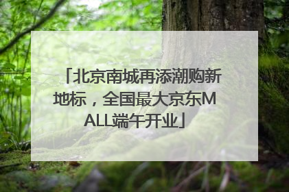 北京南城再添潮购新地标，全国最大京东MALL端午开业
