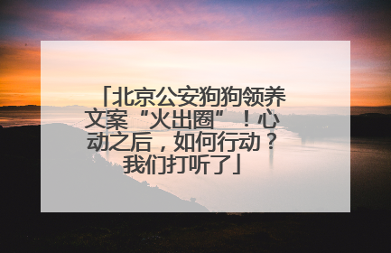 北京公安狗狗领养文案“火出圈”！心动之后，如何行动？我们打听了