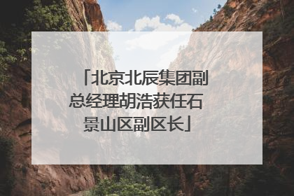 北京北辰集团副总经理胡浩获任石景山区副区长