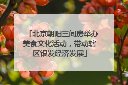 北京朝阳三间房举办美食文化活动，带动辖区银发经济发展