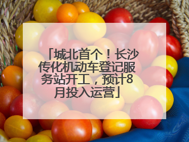 城北首个！长沙传化机动车登记服务站开工，预计8月投入运营