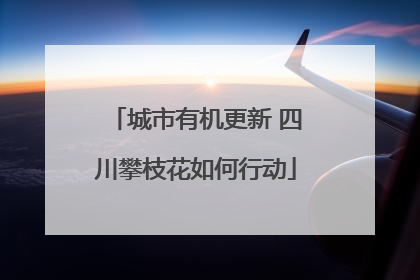 城市有机更新 四川攀枝花如何行动