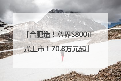合肥造！尊界S800正式上市！70.8万元起