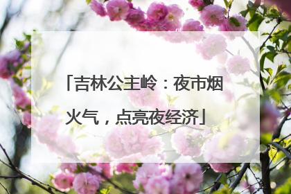 吉林公主岭：夜市烟火气，点亮夜经济