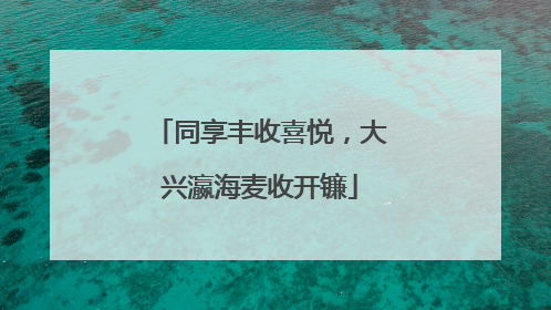 同享丰收喜悦，大兴瀛海麦收开镰