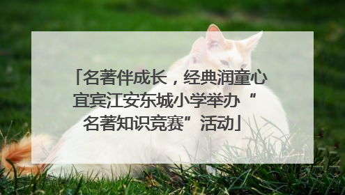 名著伴成长，经典润童心 宜宾江安东城小学举办“名著知识竞赛”活动