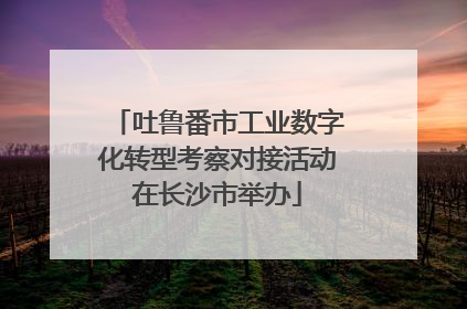 吐鲁番市工业数字化转型考察对接活动在长沙市举办