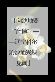 向沙地要“产值”——辽宁科尔沁沙地兴绿见闻