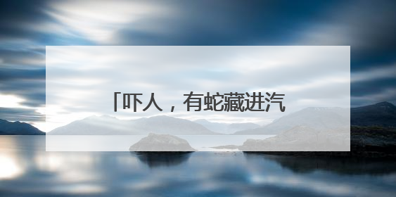 吓人，有蛇藏进汽车引擎盖！北京9天接9起“蛇警”