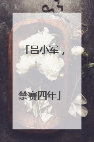 吕小军，禁赛四年