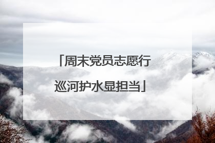 周末党员志愿行 巡河护水显担当
