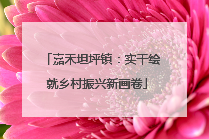 嘉禾坦坪镇：实干绘就乡村振兴新画卷