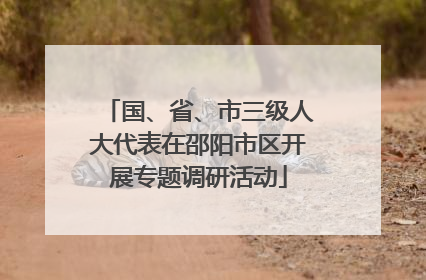 国、省、市三级人大代表在邵阳市区开展专题调研活动