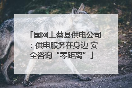 国网上蔡县供电公司：供电服务在身边 安全咨询“零距离”