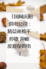 国网庆阳供电公司：精益巡检不停歇 迎峰度夏保供电