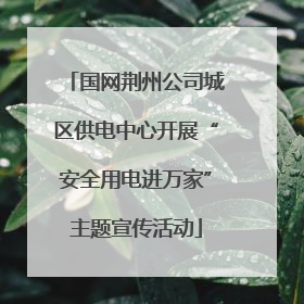国网荆州公司城区供电中心开展“安全用电进万家”主题宣传活动