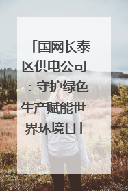 国网长泰区供电公司：守护绿色生产赋能世界环境日