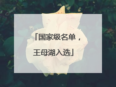 国家级名单，王母湖入选