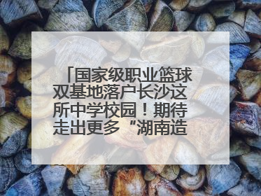 国家级职业篮球双基地落户长沙这所中学校园！期待走出更多“湖南造”国手