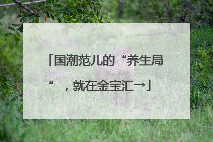 国潮范儿的“养生局”，就在金宝汇→