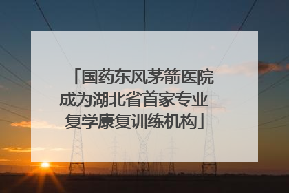 国药东风茅箭医院成为湖北省首家专业复学康复训练机构