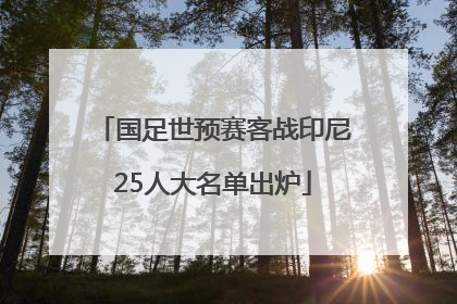 国足世预赛客战印尼25人大名单出炉