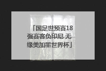 国足世预赛18强赛客负印尼 无缘美加墨世界杯