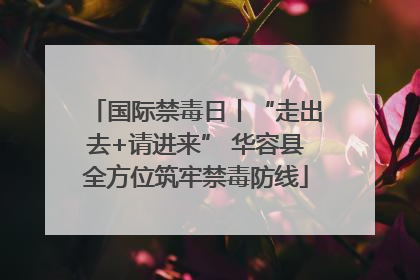 国际禁毒日丨“走出去+请进来” 华容县全方位筑牢禁毒防线