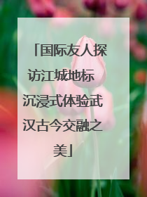 国际友人探访江城地标 沉浸式体验武汉古今交融之美