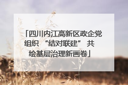 四川内江高新区政企党组织 “结对联建” 共绘基层治理新画卷
