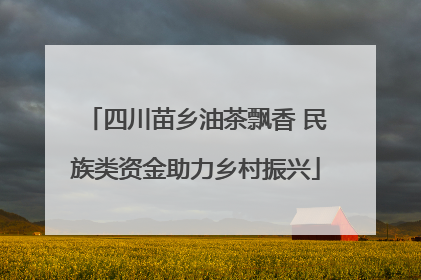 四川苗乡油茶飘香 民族类资金助力乡村振兴
