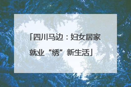 四川马边：妇女居家就业“绣”新生活