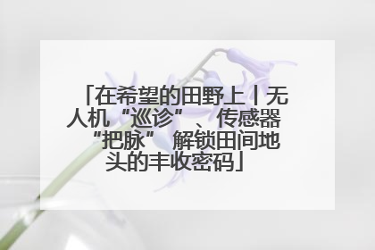 在希望的田野上丨无人机“巡诊”、传感器“把脉” 解锁田间地头的丰收密码