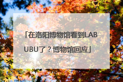 在洛阳博物馆看到LABUBU了？博物馆回应