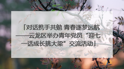 对话携手共勉 青春逐梦远航——云龙区举办青年党员“迎七一话成长挑大梁”交流活动