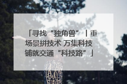 寻找“独角兽”丨重场景拼技术 万集科技铺就交通“科技路”