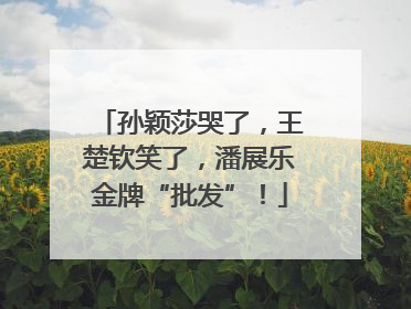 孙颖莎哭了，王楚钦笑了，潘展乐金牌“批发”！