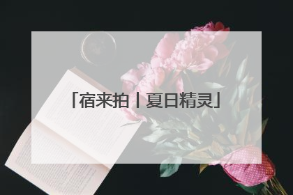 宿来拍丨夏日精灵