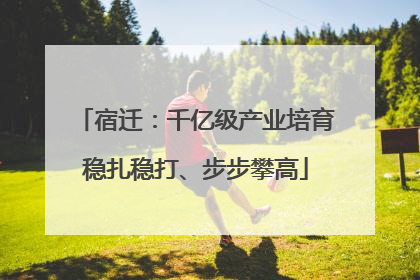 宿迁：千亿级产业培育稳扎稳打、步步攀高