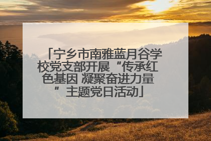 宁乡市南雅蓝月谷学校党支部开展“传承红色基因 凝聚奋进力量”主题党日活动