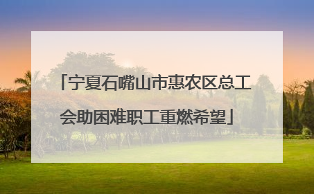 宁夏石嘴山市惠农区总工会助困难职工重燃希望