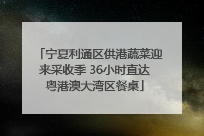 宁夏利通区供港蔬菜迎来采收季 36小时直达粤港澳大湾区餐桌