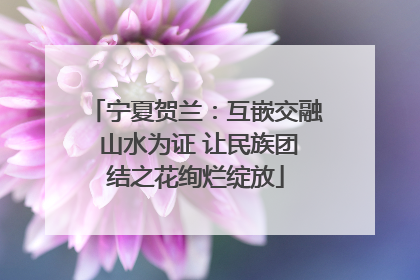 宁夏贺兰：互嵌交融 山水为证 让民族团结之花绚烂绽放