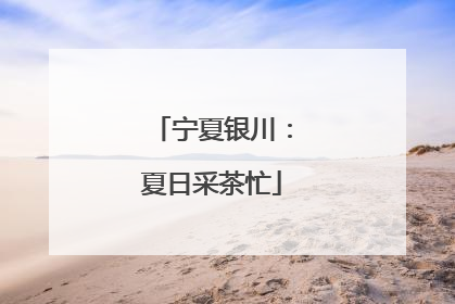 宁夏银川：夏日采茶忙