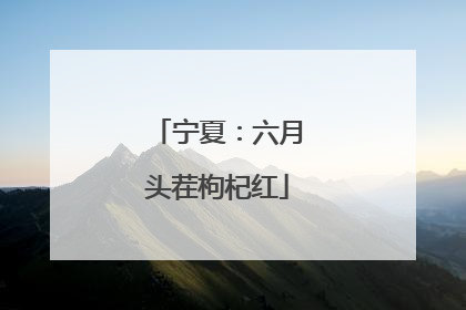 宁夏：六月头茬枸杞红