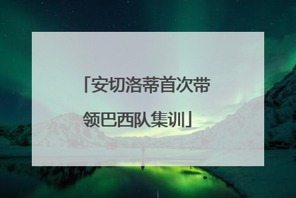 安切洛蒂首次带领巴西队集训