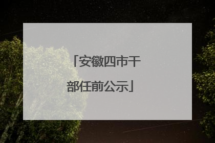 安徽四市干部任前公示