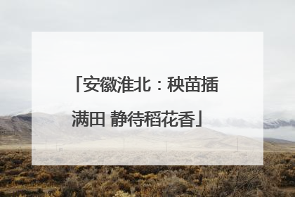 安徽淮北：秧苗插满田 静待稻花香