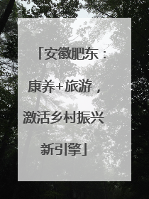 安徽肥东：康养+旅游，激活乡村振兴新引擎
